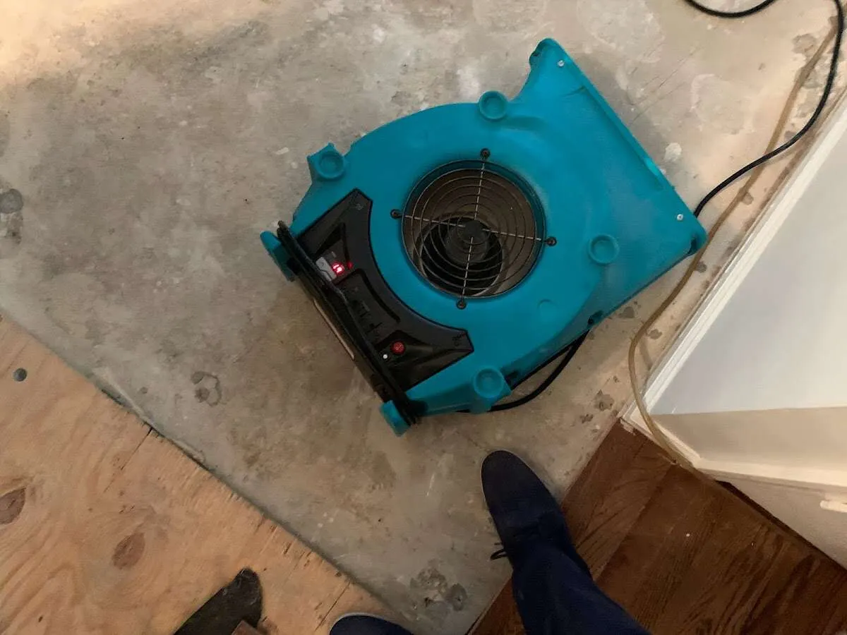Air mover drying subfloor during Leak Detection & Repair in Fern Park